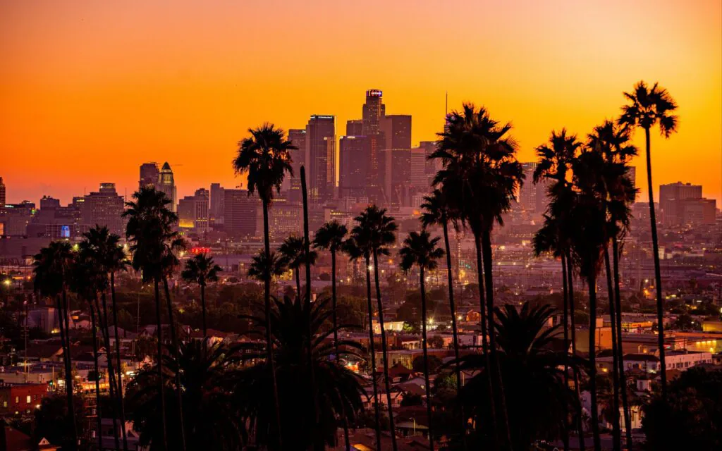 Palm-lined coastal city skyline at sunset