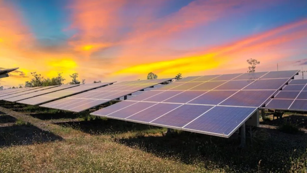 Solar panels and a wind turbine at sunset